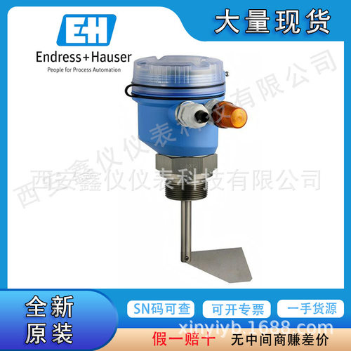 E+H阻旋物位开关FTE20防爆