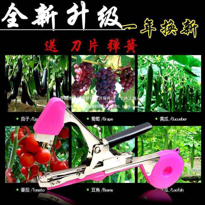 绑枝机葡萄绑枝机绑枝神器胶带西红柿猕猴桃绑枝机绑蔓器捆绑扎机