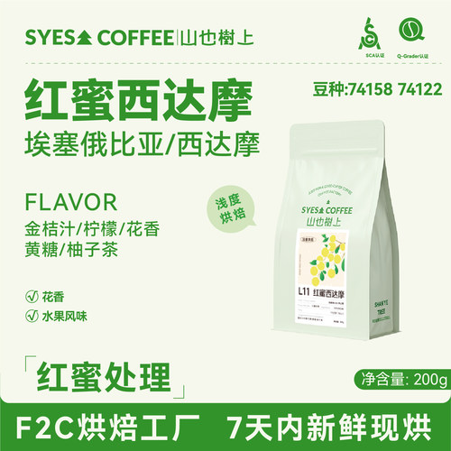 山也树上红蜜西达摩浅烘豆手冲