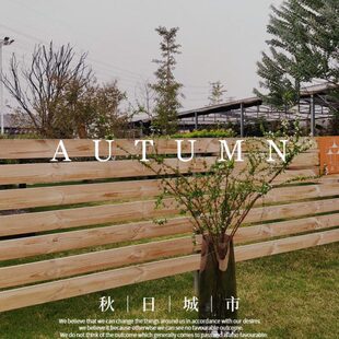 木醉柳摆件马落地地面插雪特大号吊玻璃花瓶落地钟简约现代龙室内