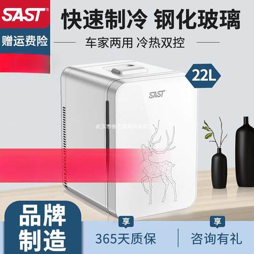 SAST车载迷你小冰箱12v汽车小型家用宿舍单人冷藏车家两母乳储奶
