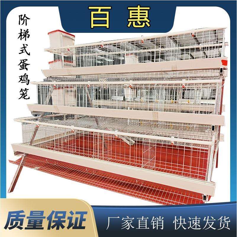 养殖场用三层四门白槽蛋鸡笼设备热镀锌多层阶梯式笼养鸡设备