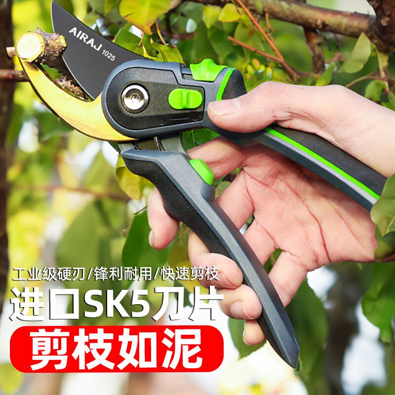 德国剪树枝家用剪专用剪刀修枝剪果树剪园艺花剪园林花卉剪子省力