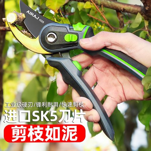 德国剪树枝家用剪专用剪刀修枝剪果树剪园艺花剪园林花卉剪子省力