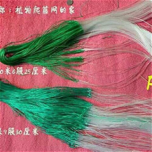 植物爬藤网芹菜防倒伏黄瓜丝瓜苦瓜豆角瓠子小南瓜吊瓜种植网