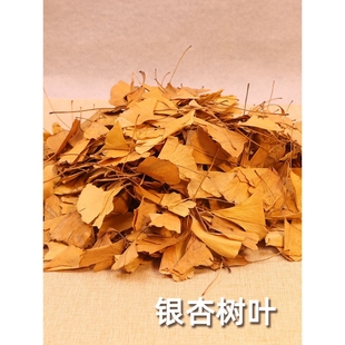 银杏树叶落叶枫叶干花标本真枯叶装饰秋收落叶贴画干树叶手工叶子