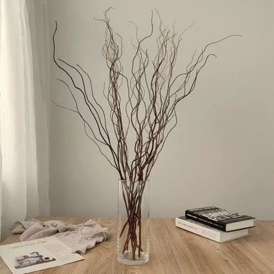 真树枝装饰白干龙柳干枝龙桑隔断橱窗装饰品摆件天然