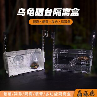 晶祿兴亚克力透明乌龟斗鱼缸隔离盒自带晒台组合式孵化盒窄桥
