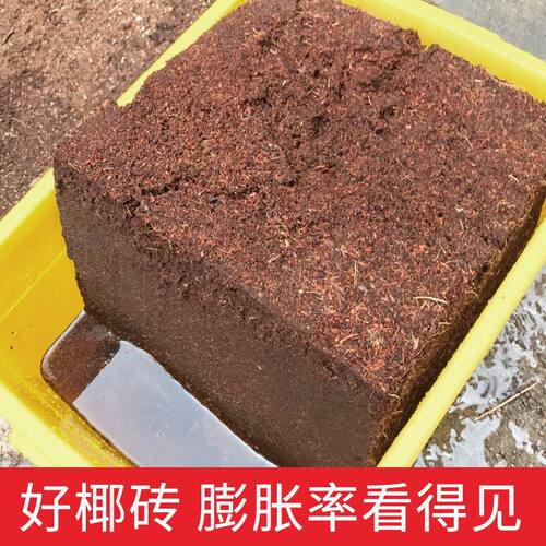 9斤大椰砖大块椰糠砖营养土多肉绿萝园艺耶土通用养花种菜专用土