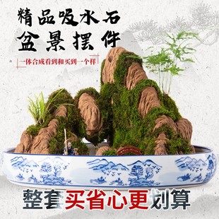 精品盆景吸水石上水石假山小摆件客厅流水造景非天然微景观石头