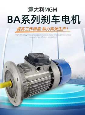 意大利MGM刹车电机 MGM制动刹车马达 BA100B4 2.2KW MGM制动刹车