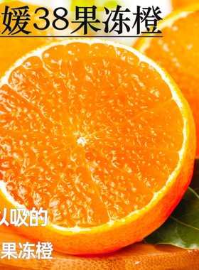 【下单立减50】爱媛38号果冻橙新鲜采摘当季橙子薄皮香甜爆汁水果