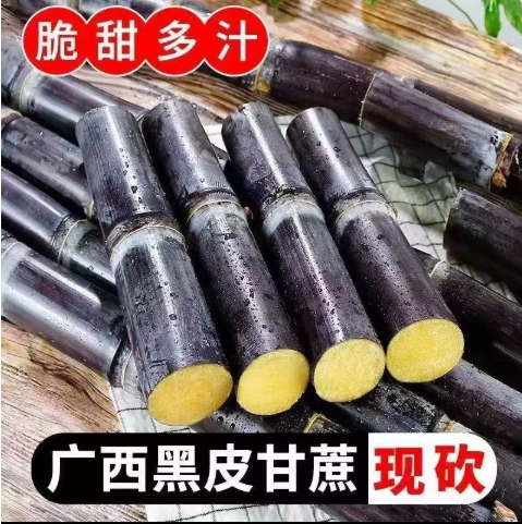 【下单立减50】九斤广西特产黑皮甘蔗新鲜现砍应季水果脆甜多汁,水产肉类/新鲜蔬果/熟食,甘蔗,淘宝优惠券,粉丝福利购,淘宝优惠卷