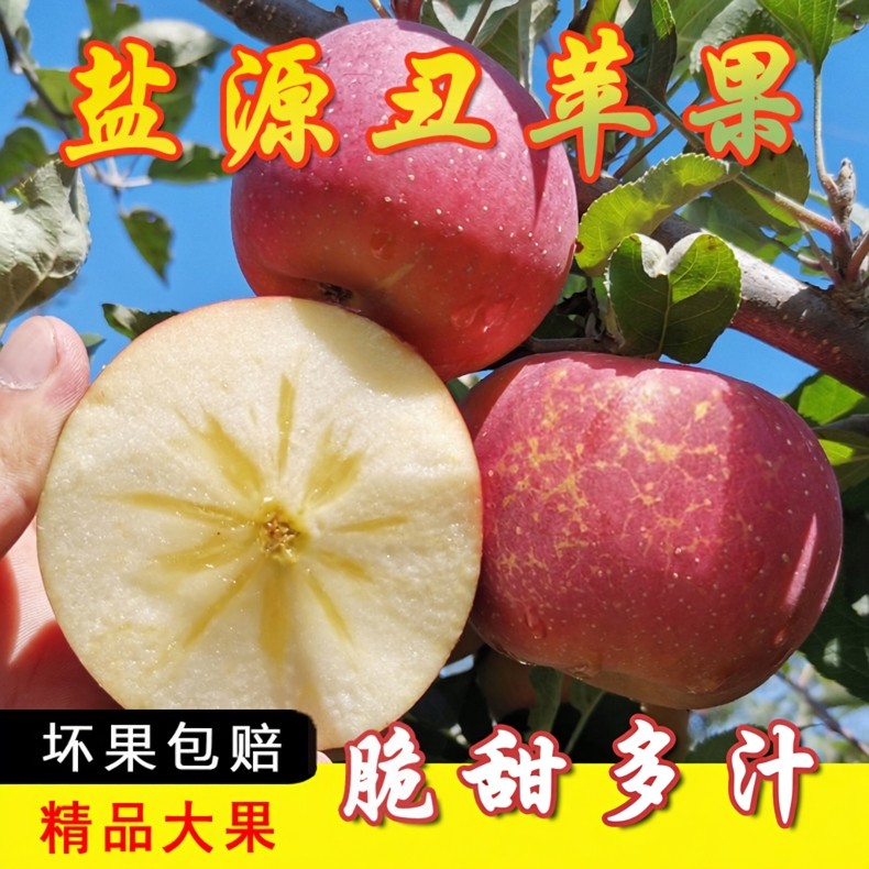 【下单立减50】正宗冰糖心丑苹果红富士苹果新鲜应季水果脆甜多汁,水产肉类/新鲜蔬果/熟食,苹果,淘宝优惠券,粉丝福利购,淘宝优惠卷