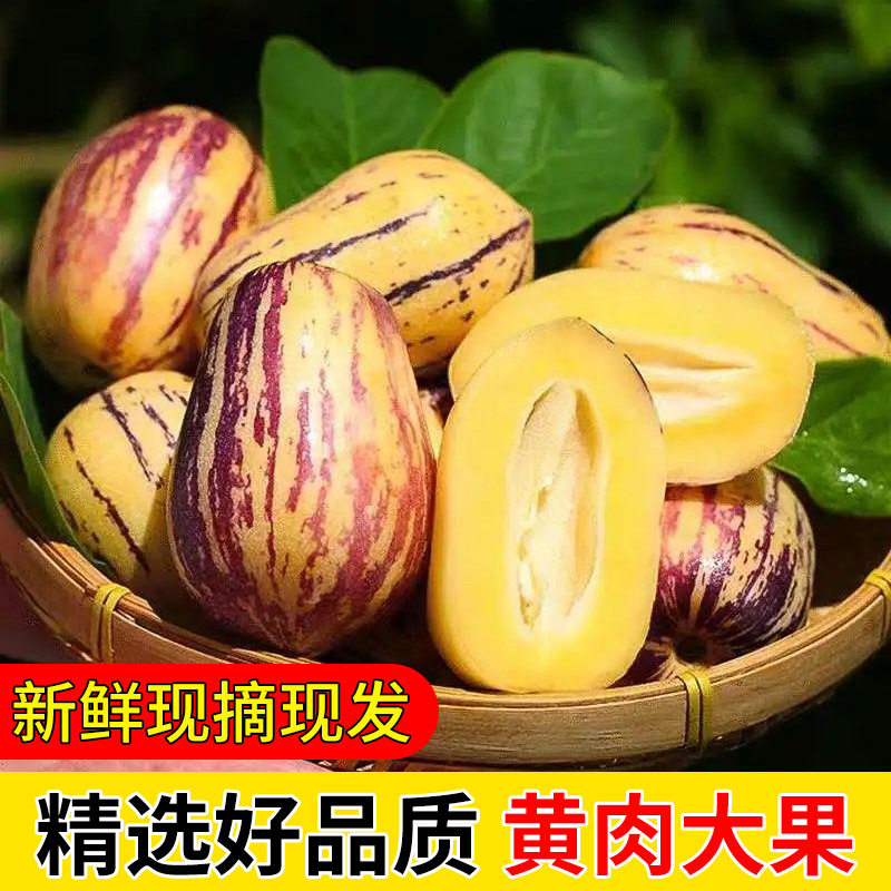 【下单立减50】甘肃民勤沙漠人参果黄肉大果低糖皮薄成熟新鲜现摘,水产肉类/新鲜蔬果/熟食,芒果,淘宝优惠券,粉丝福利购,淘宝优惠卷