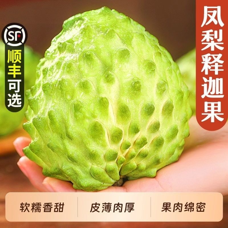 【下单立减50】正宗牛奶凤梨释迦果新鲜热带水果现摘现发佛头果