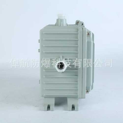 防爆整流器箱ⅡCe1000W防爆应急电源箱 防爆接线箱 防爆箱耐震