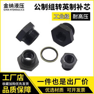 碳钢高压转换接头外丝公制补内丝英制螺纹补芯各种异径液压管接头