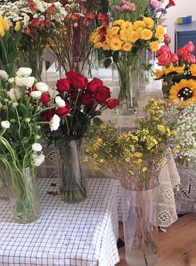 亚克力花瓶防摔PC透明玻璃直筒简约插摆件客厅水养马醉木高款落地