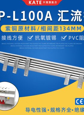 P4汇流排紫接线mm4Z13漏电电气7045空开断路器间距A连D接C10排4铜
