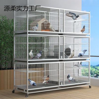 鸽子笼家用繁殖配对笼养鸽子肉鸽养殖笼子专业大型元宝鸽笼客家用