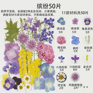 压花干花手工 春日来信diy植物材料包书签贴画礼物缤纷50片花+叶