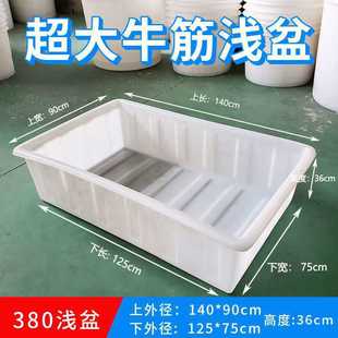 牛筋水箱长方形浅盆胶盆养鱼卖鱼养龟盆花坛水方桶储水养殖箱
