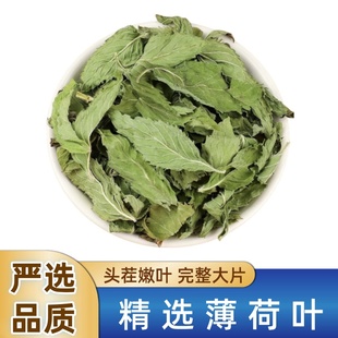 正品中药材野生薄荷叶500g新鲜干薄荷叶茶食用清凉花草薄荷叶泡水