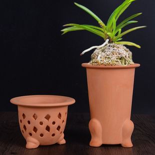 镂空花盆风兰花盆红陶多孔花盆风兰富贵兰似栀子花香附生兰花矮种