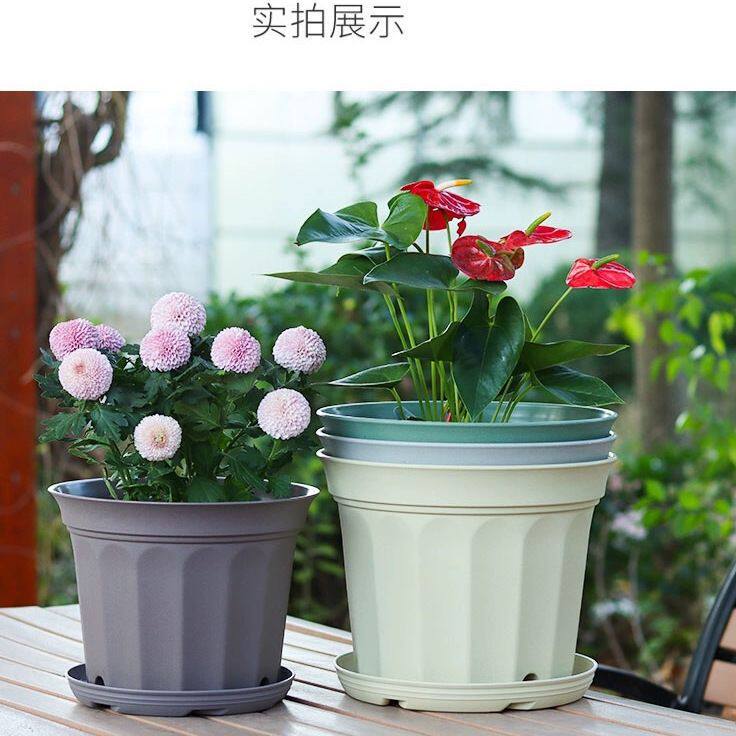 新款霍伦盆矮款塑料花盆家用加仑盆树脂球根朱顶红专用