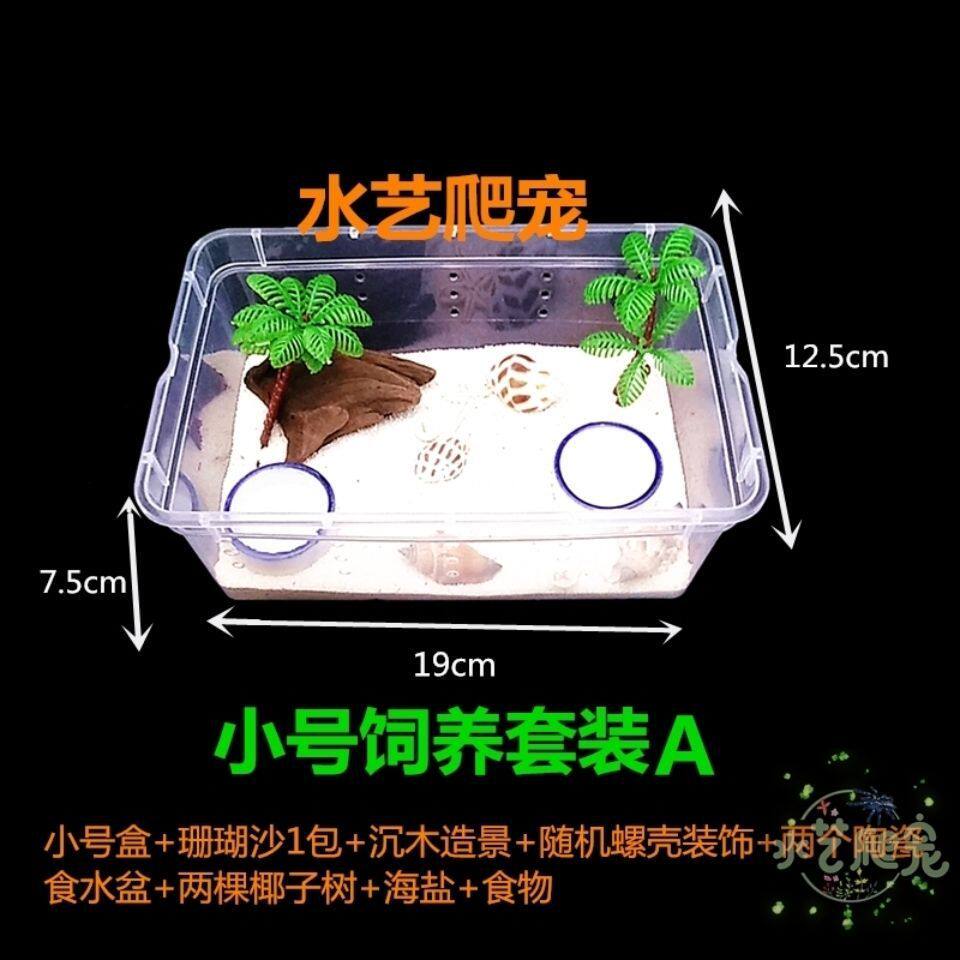 寄居蟹饲养套装箱大型新手宠物躲避屋水盆