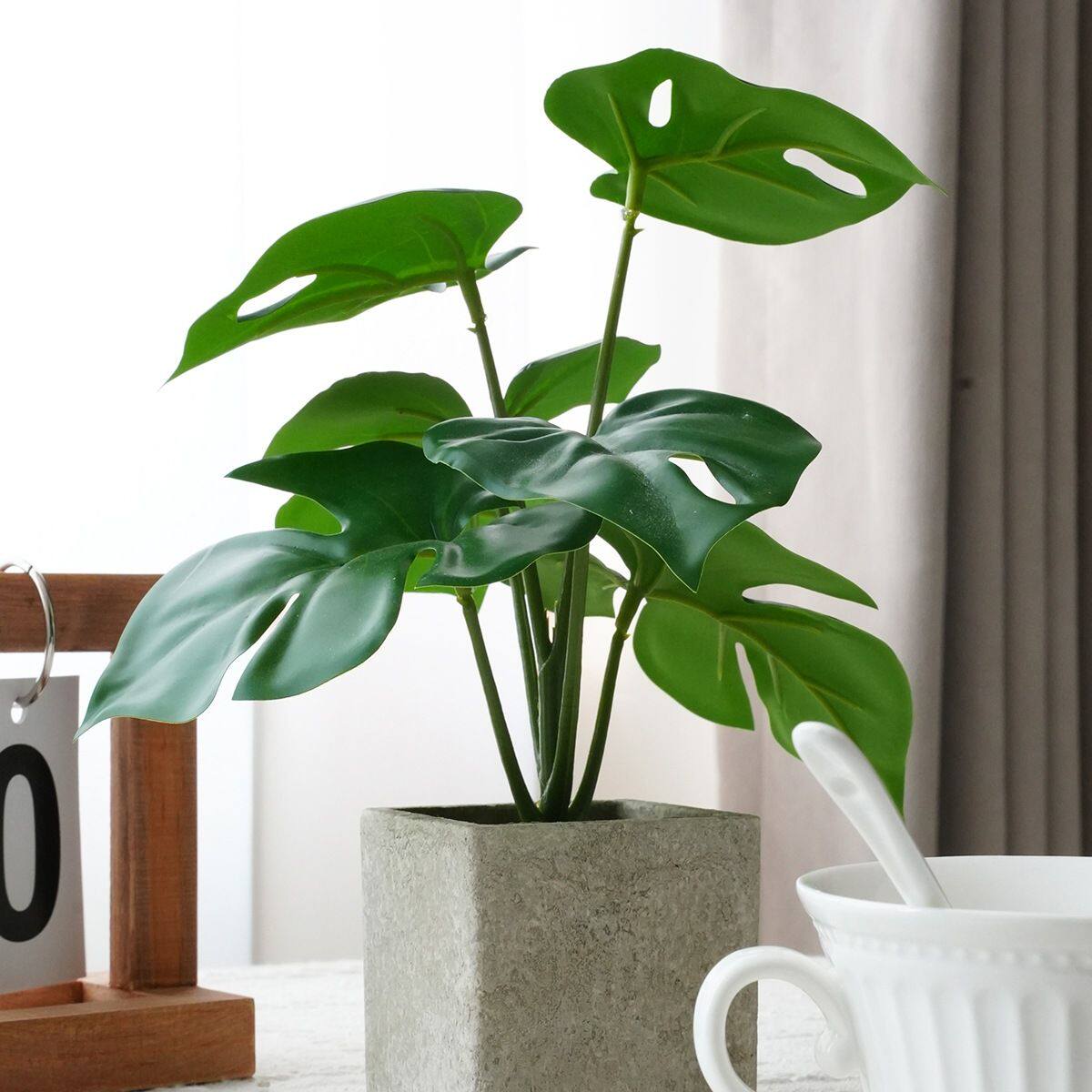ins绿植小盆栽摆件龟背叶彩芋叶办公桌客厅茶几假花仿生植物