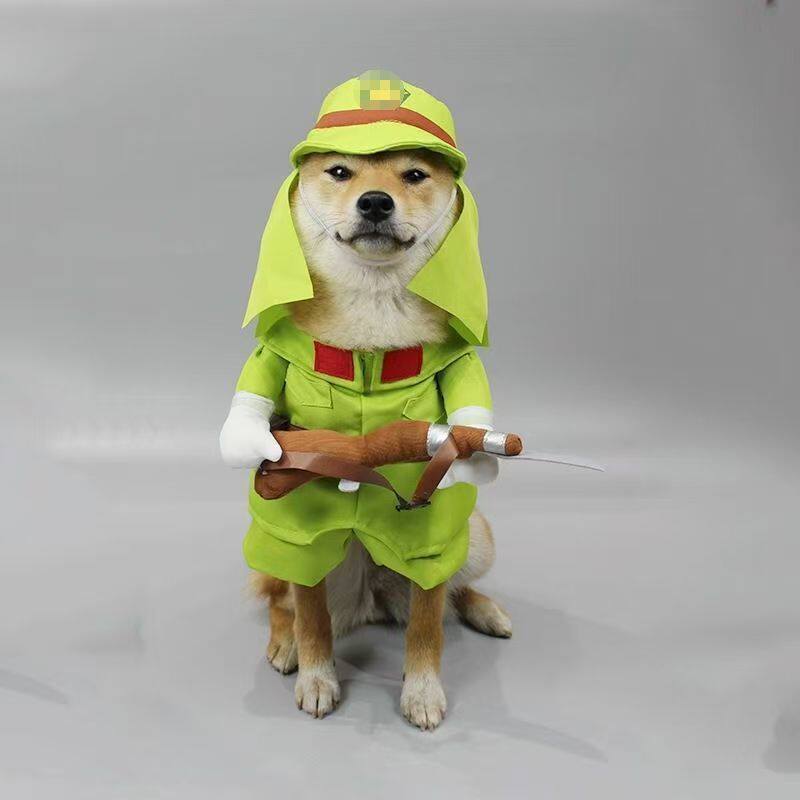 八嘎泰迪柴犬可爱搞笑装衣猫咪衣服巴哥比熊狗狗直立宠物网搞怪红
