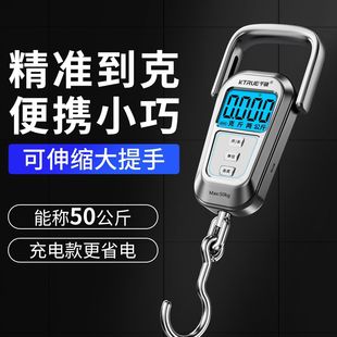 便携式手提电子秤精准家用小型弹簧称重器高精度商用克称随身携带