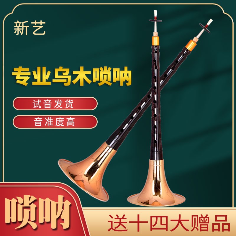 唢呐乐器全套初学者成人专业演奏乌木D调P降B调民间喇叭乐器
