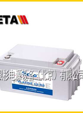 法国STECO时高蓄电池PLATIN6-100太阳能免维护电源6V100AH