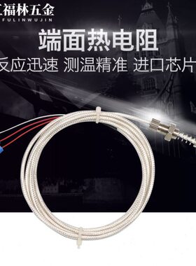 面轴轴承瓦t20温度传感器热电阻测温探头W10M螺纹p-端1ZP0热电阻