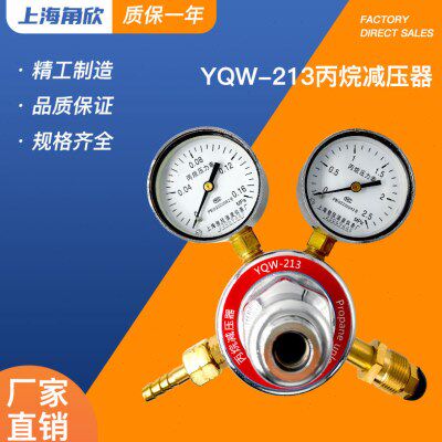 上海角欣YQW-213丙烷减压器减压阀稳压器调压阀 实验室钢瓶压力表