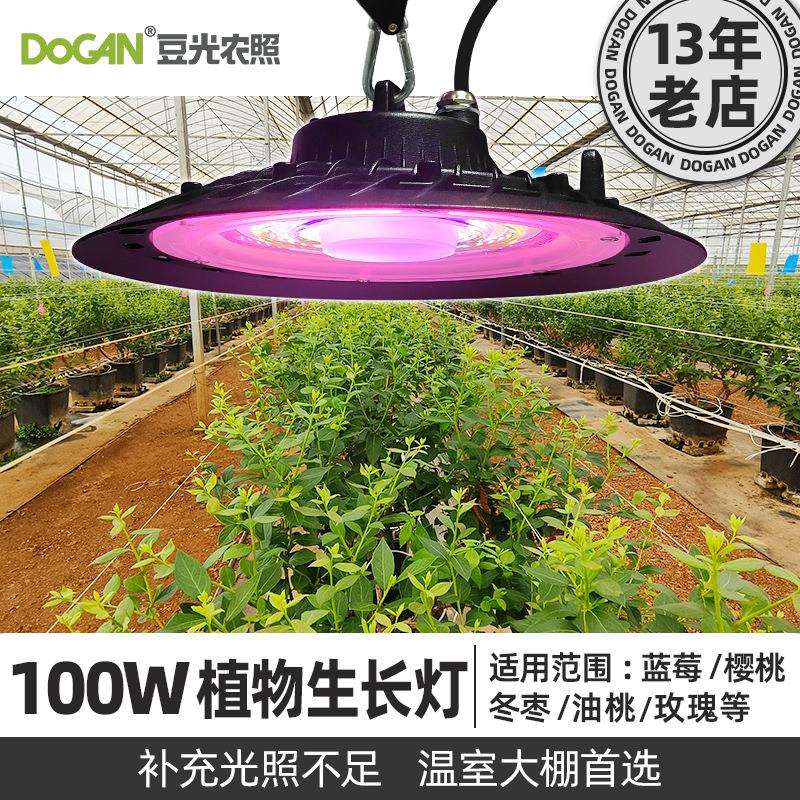 100W大棚樱桃蓝莓冬枣油桃玫瑰花卉专用补光灯全光谱植物生长灯