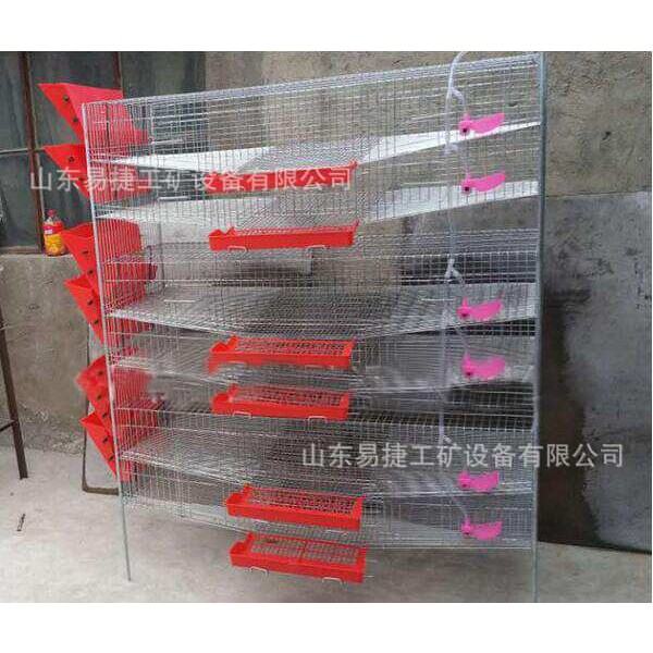 养殖用鹌鹑笼子   立式鸽子笼子带料槽水管   铁丝梯形鹌鹑笼子