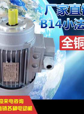 三相异步铝壳电动机YS100四级1400转二级2800转大功率铝壳电机