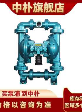 skylink斯凯力气动隔膜泵LS15 AA-AA-T/N-TT-TT-00 陶瓷厂喷釉泵