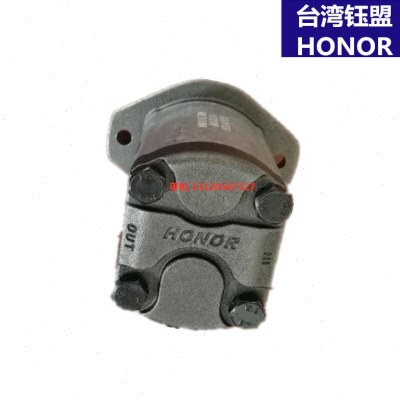 现货 2GG1P11R 钰盟HONOR齿轮泵 2GG1P14R 2GG1P09R 台湾台成齿轮