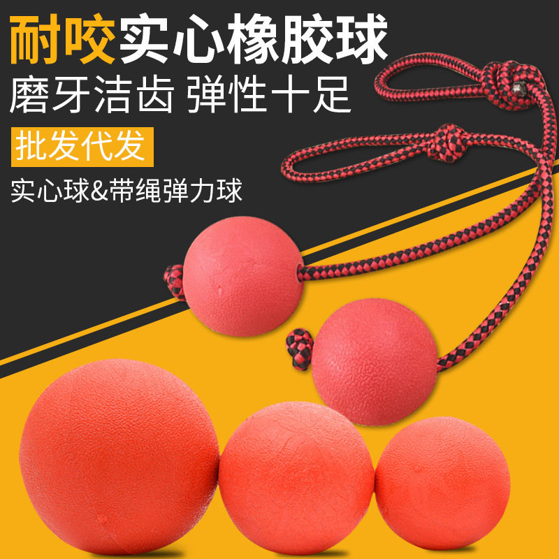 直销tpr穿绳实心球橡胶弹力球狗训练玩具 耐咬实心球宠物玩具