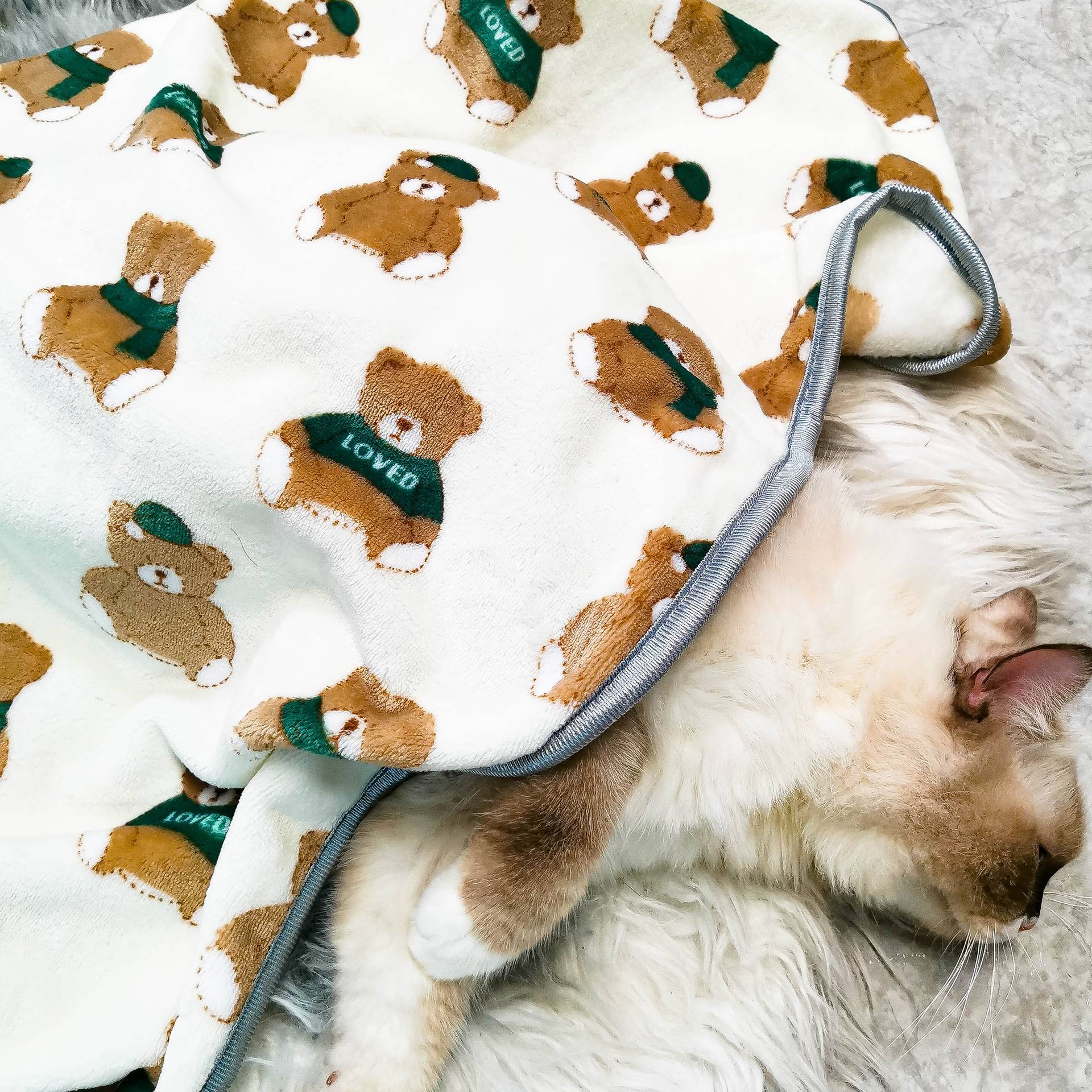 宠物毛毯新款卡通印花狗狗被子珊瑚绒猫咪专用垫子睡觉用保暖秋冬