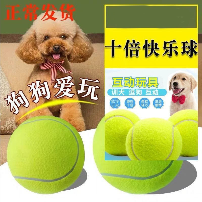 3个夏季遛狗狗狗玩具球边牧柯基金毛逗狗遛狗训犬
