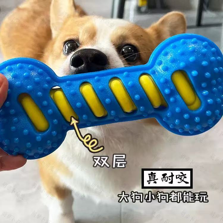 狗狗玩具骨头耐咬TPR磨牙发声大型犬金毛柯基法斗狗宠物解闷