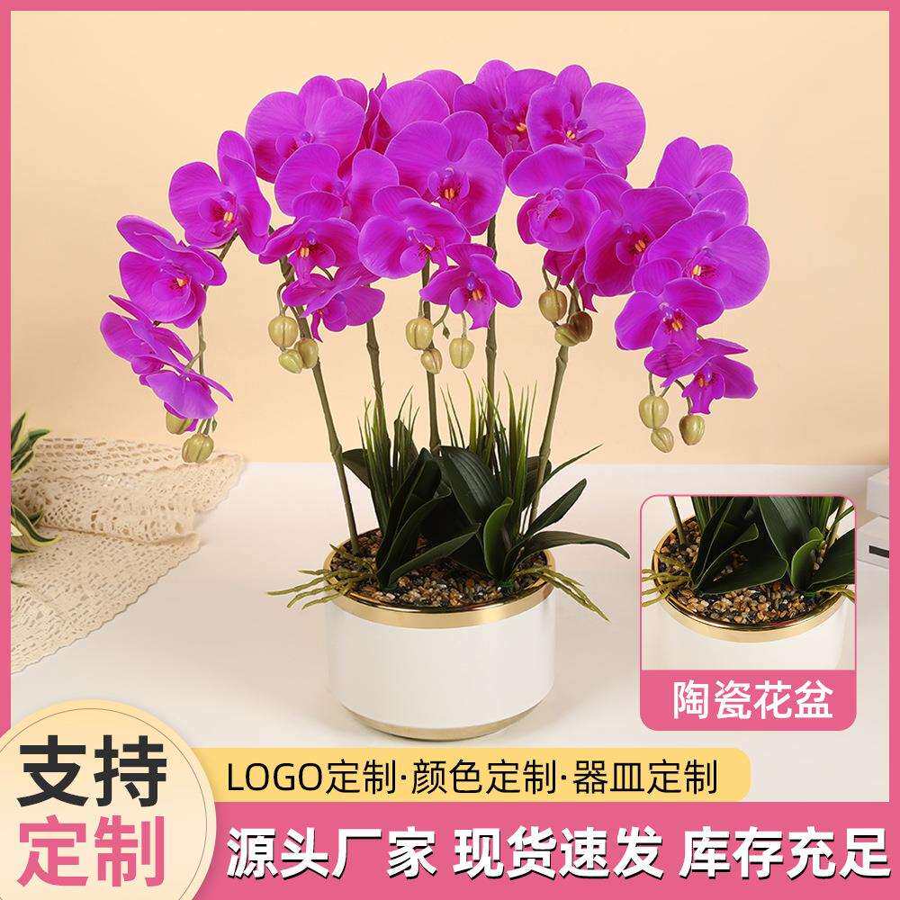 仿真手感蝴蝶兰陶瓷小盆栽北欧轻奢电镀假花盆景客厅茶几装饰摆设