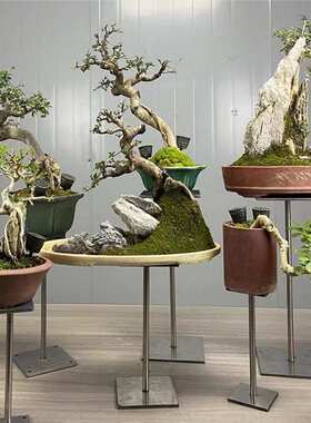 盆景工字形架不锈钢支架铝合金盆景几架黑色烤漆大气展示花J&