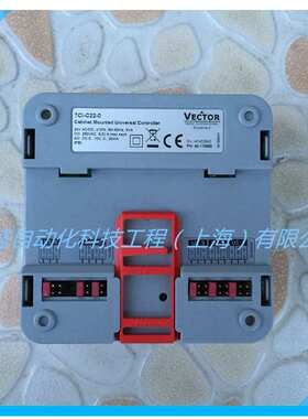 VECTOR伟拓 TCI-C24-0柜装式通用型PID控制器 冷热自动切换温控器